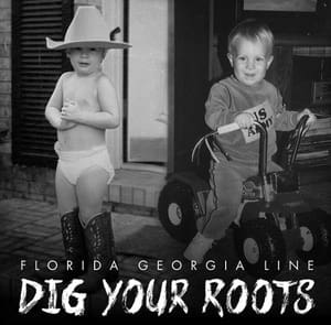 FGL Dig Your Roots